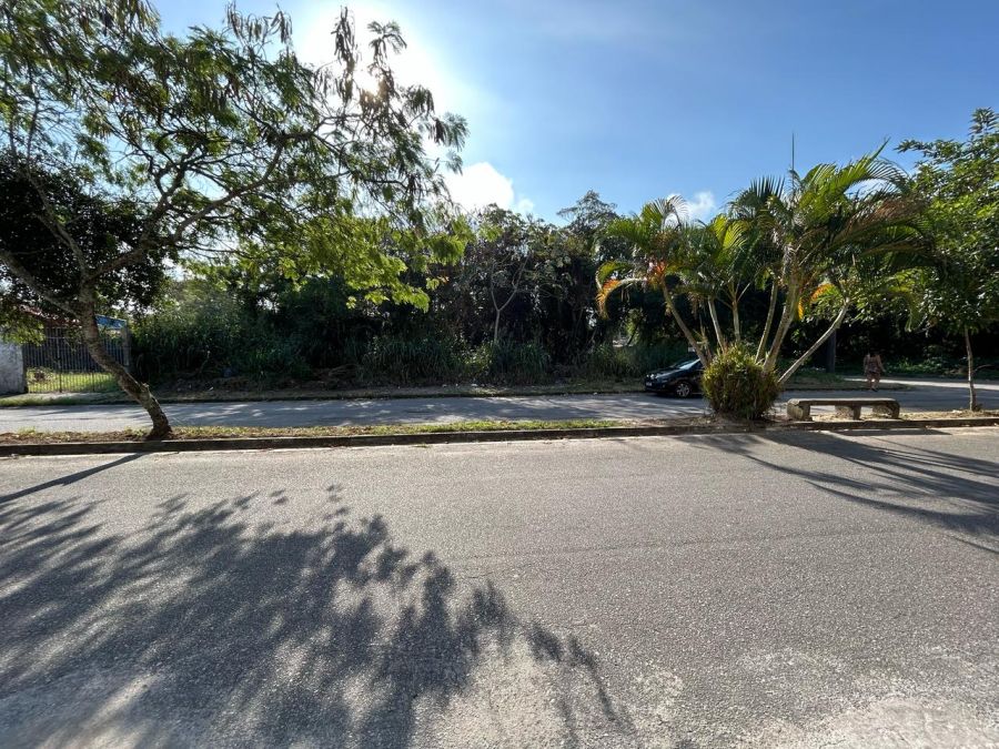 Terreno - Venda - Jamaica (praia) - Itanhaém - SP